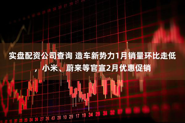 实盘配资公司查询 造车新势力1月销量环比走低，小米、蔚来等官宣2月优惠促销