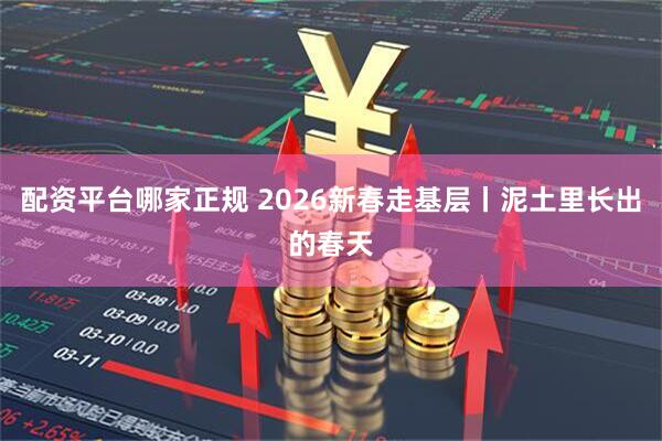 配资平台哪家正规 2026新春走基层丨泥土里长出的春天